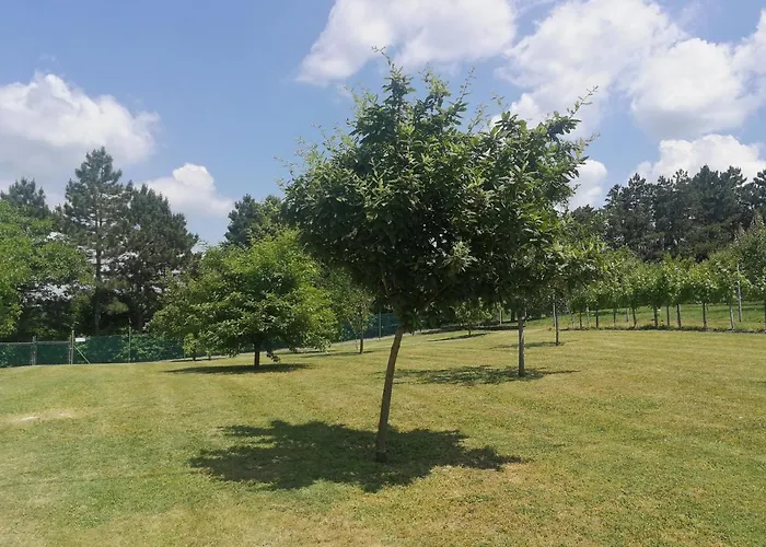 Ferienhaus Bottyahat *